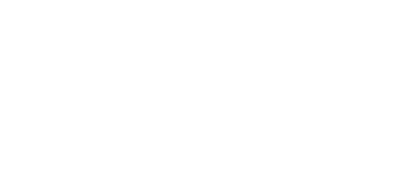 GMIS
