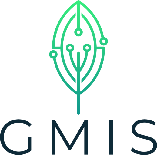 GMIS